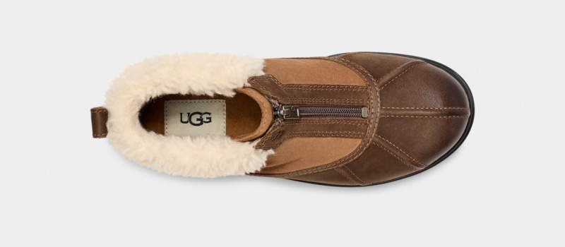 Ugg Hapsburg Zip Stövlar Dam Bruna | YD6738512