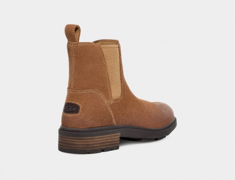 Ugg Harrison Chelsea Boots Dam Bruna | YN5487293