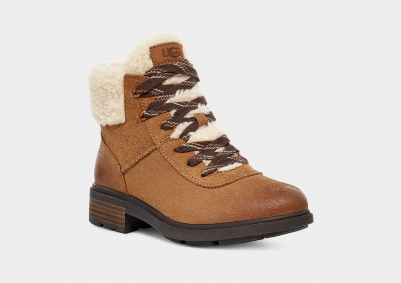 Ugg Harrison Cozy Spets Stövlar Dam Bruna | SU5406728