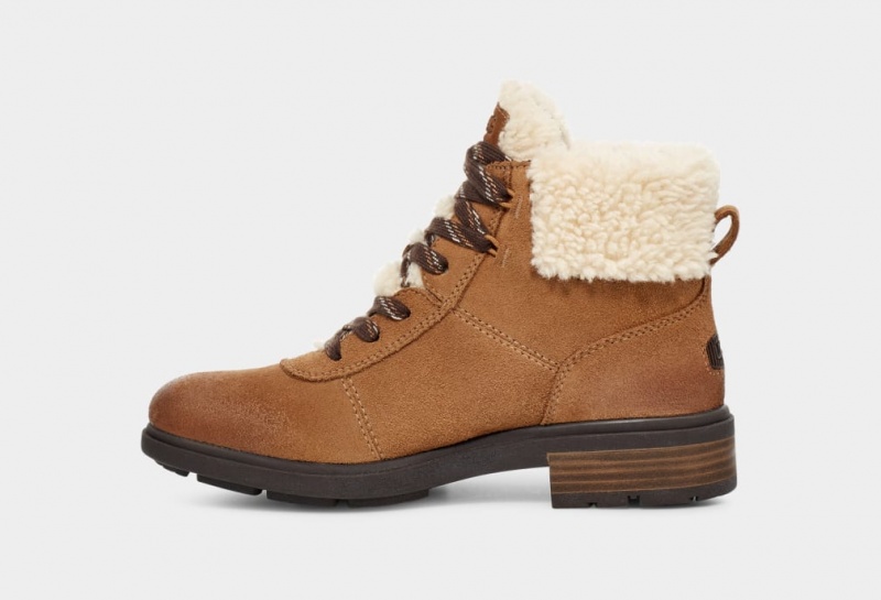 Ugg Harrison Cozy Spets Stövlar Dam Bruna | SU5406728