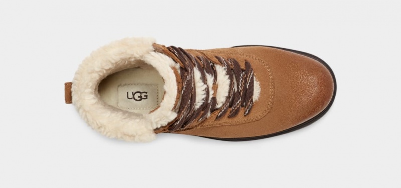 Ugg Harrison Cozy Spets Stövlar Dam Bruna | SU5406728