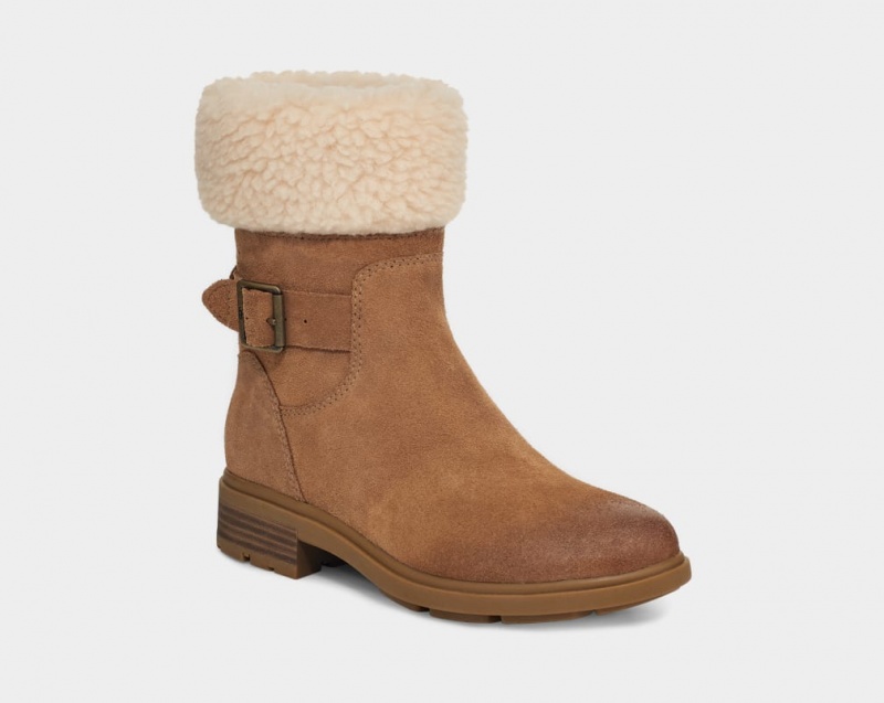 Ugg Harrison Cuff Stövlar Dam Bruna | NK2790468