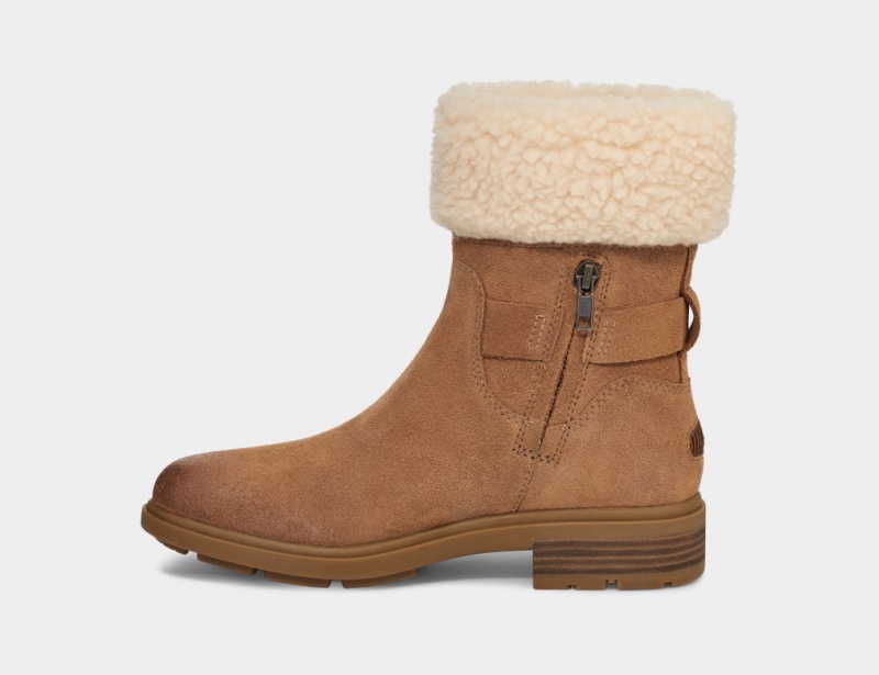 Ugg Harrison Cuff Stövlar Dam Bruna | NK2790468