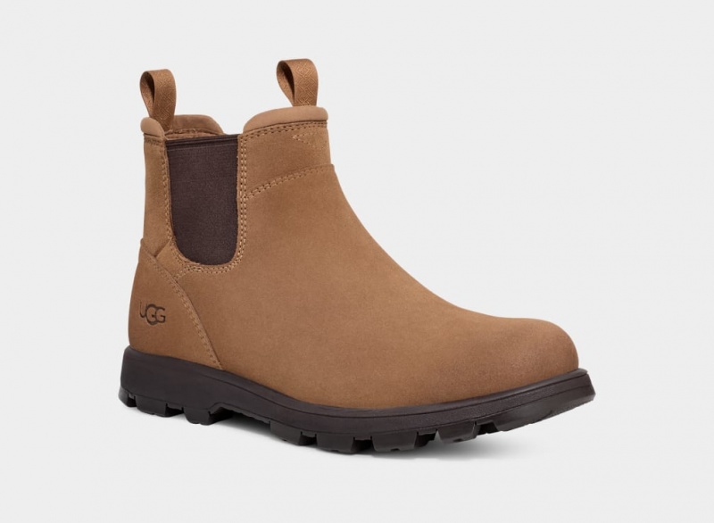 Ugg Hillmont Chelsea Boots Herr Bruna | WJ7516804