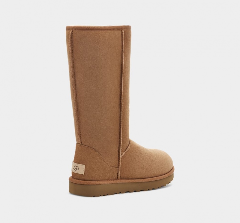 Ugg Klassiska Höga II Stövlar Dam Bruna | BE8032975