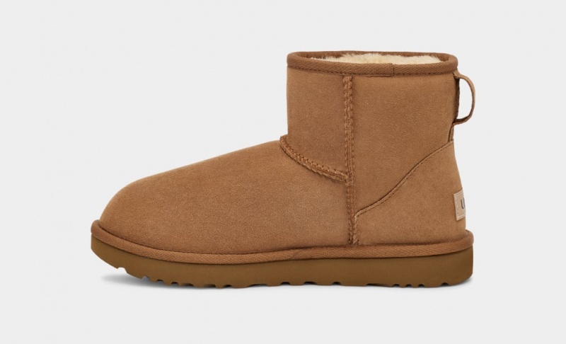 Ugg Klassiska Mini II Stövlar Dam Bruna | XK1475980