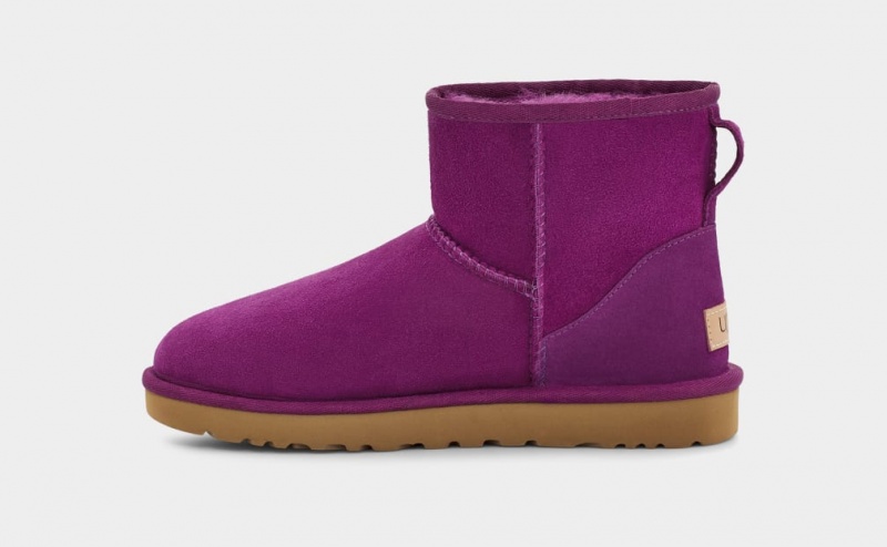 Ugg Klassiska Mini II Stövlar Dam Lila | PL8659340