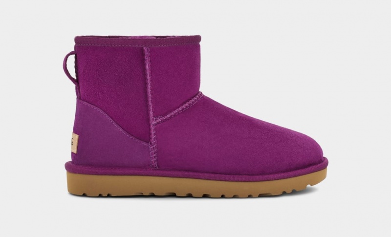 Ugg Klassiska Mini II Stövlar Dam Lila | PL8659340