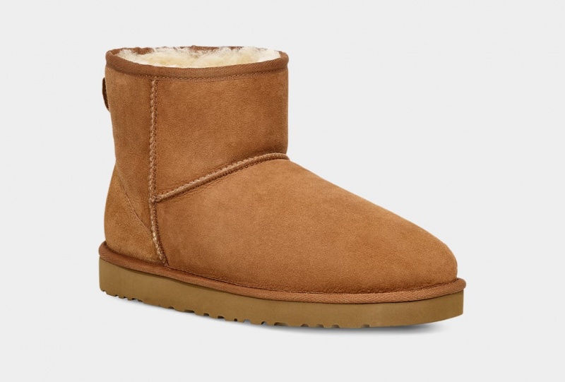 Ugg Klassiska Mini Stövlar Herr Bruna | NL1748905