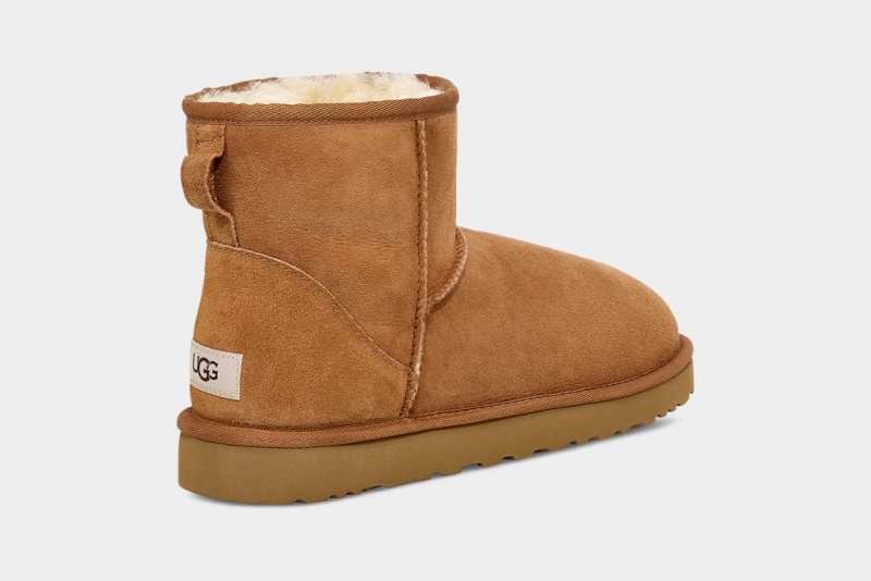 Ugg Klassiska Mini Stövlar Herr Bruna | NL1748905