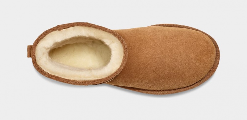 Ugg Klassiska Mini Stövlar Herr Bruna | NL1748905