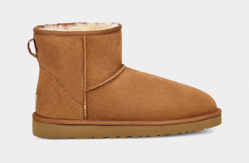 Ugg Klassiska Mini Stövlar Herr Bruna | NL1748905