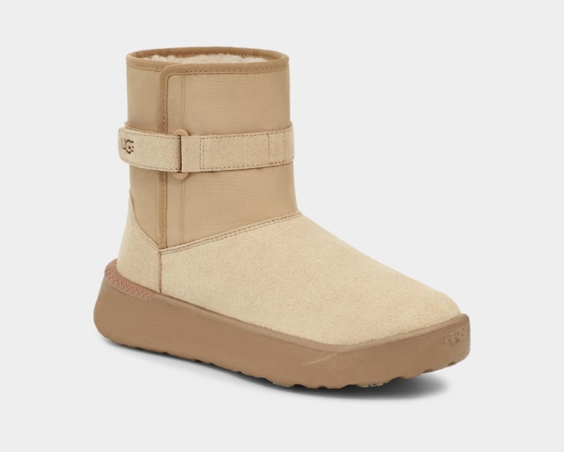 Ugg Klassiska S Stövlar Herr Bruna | CZ7149638