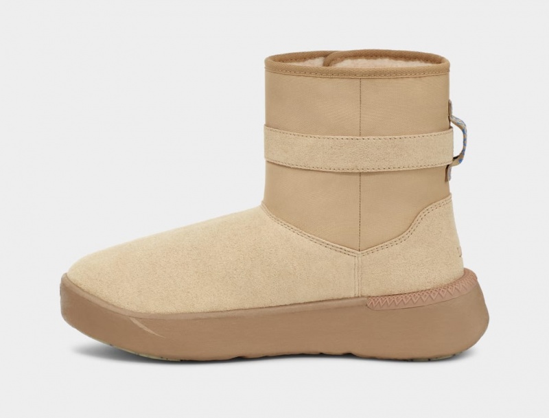 Ugg Klassiska S Stövlar Herr Bruna | CZ7149638