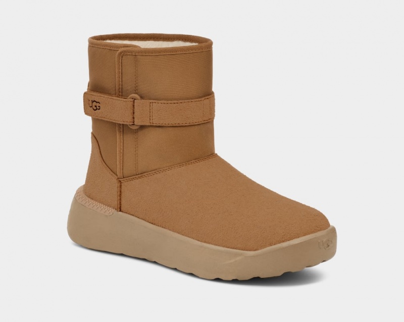 Ugg Klassiska S Stövlar Herr Bruna | ZV1273809