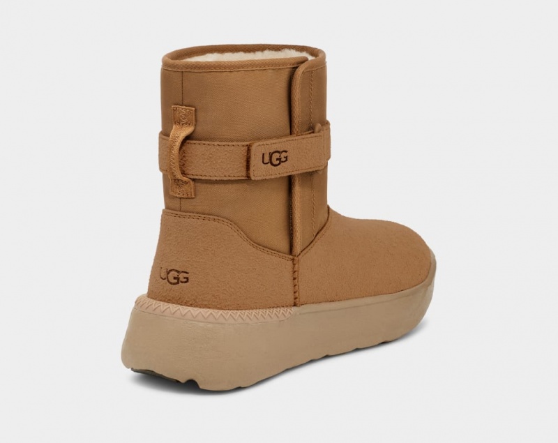 Ugg Klassiska S Stövlar Herr Bruna | ZV1273809