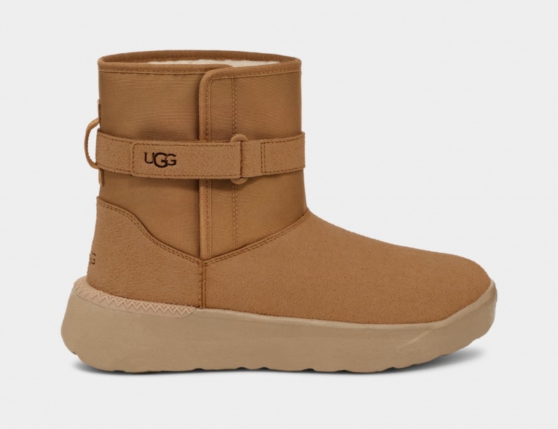 Ugg Klassiska S Stövlar Herr Bruna | ZV1273809