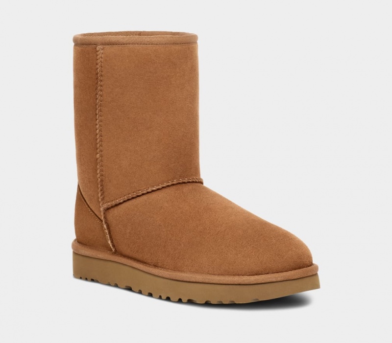 Ugg Klassiska Stövlar Herr Bruna | SA5307924