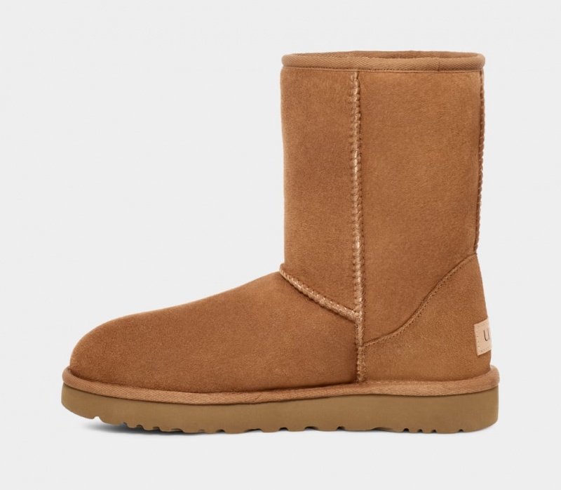 Ugg Klassiska Stövlar Herr Bruna | SA5307924