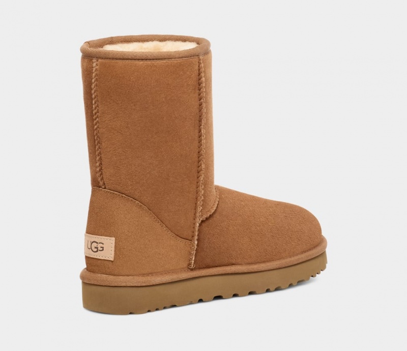 Ugg Klassiska Stövlar Herr Bruna | SA5307924