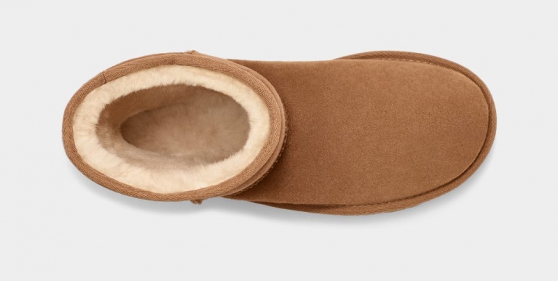 Ugg Klassiska Stövlar Herr Bruna | SA5307924