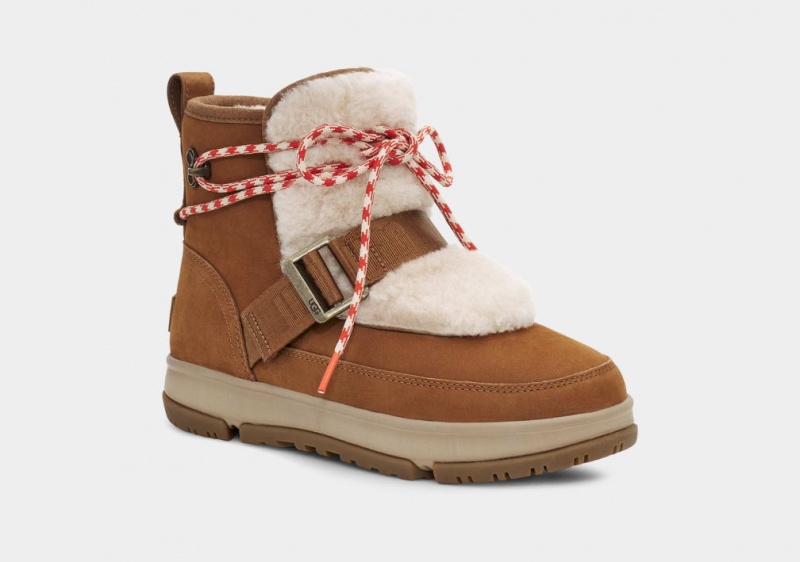 Ugg Klassiska Weather Hiker Stövlar Dam Bruna | BV1458697