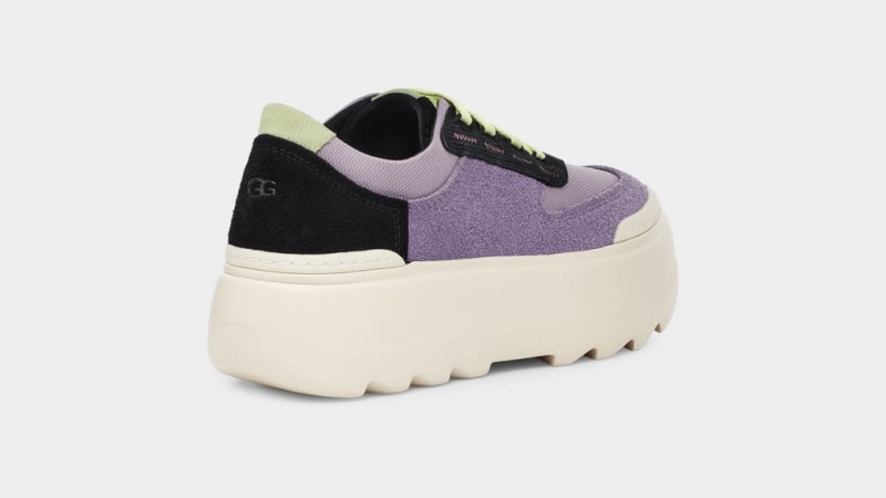 Ugg Marin Mega Spets Sneakers Dam Lila | ZI5142079