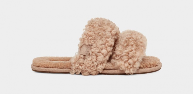 Ugg Maxi Curly Scuffetta Tofflor Dam Bruna | JC0182753