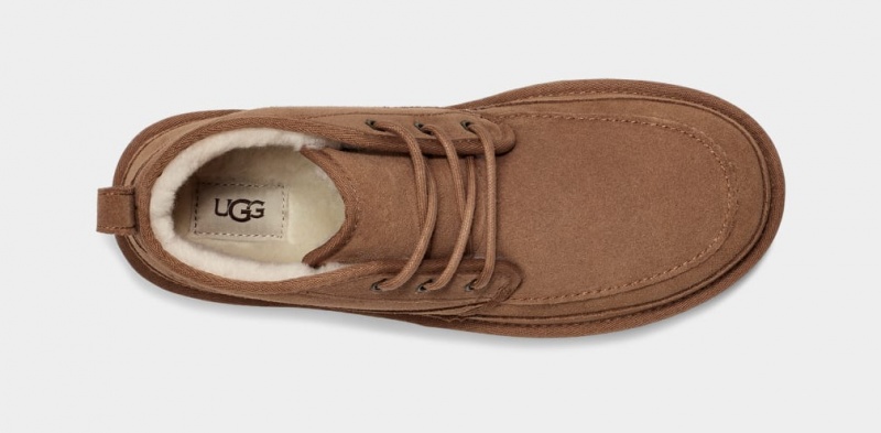 Ugg Neumel Moc Stövlar Herr Bruna | CK1890462