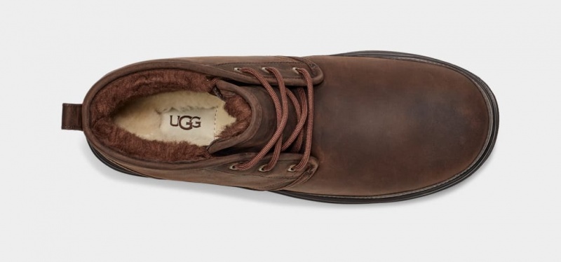 Ugg Neumel Weather II Stövlar Herr Bruna | RY2985710