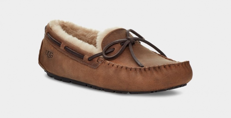 Ugg Olsen Mockasiner Herr Bruna | QX2301547