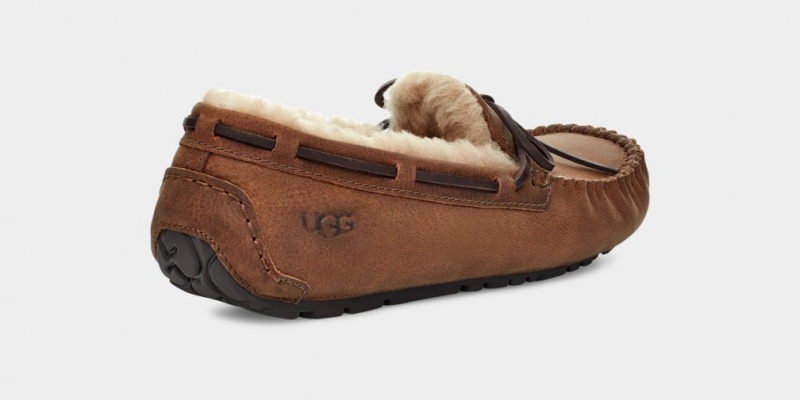 Ugg Olsen Mockasiner Herr Bruna | QX2301547