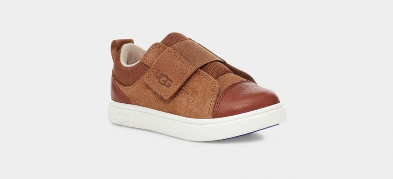 Ugg Rennon Low Sneakers Barn Bruna | AW7096541