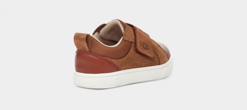 Ugg Rennon Low Sneakers Barn Bruna | AW7096541