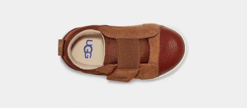 Ugg Rennon Low Sneakers Barn Bruna | AW7096541