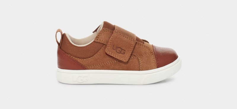 Ugg Rennon Low Sneakers Barn Bruna | AW7096541