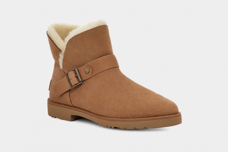 Ugg Romely Spännen Stövlar Dam Bruna | KF3459721