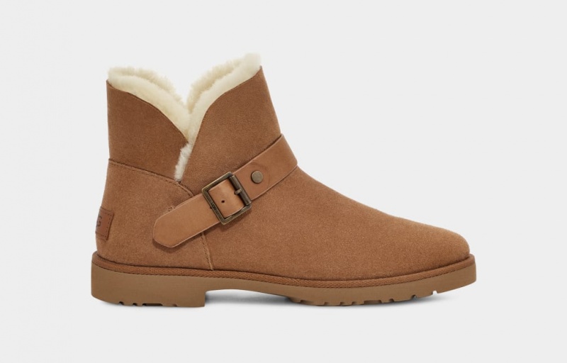 Ugg Romely Spännen Stövlar Dam Bruna | KF3459721