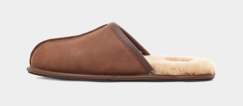 Ugg Scuff Läder Tofflor Herr Bruna | VD1905378