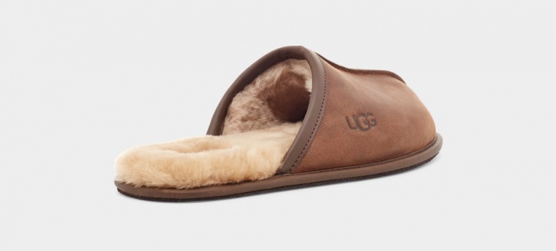 Ugg Scuff Läder Tofflor Herr Bruna | VD1905378