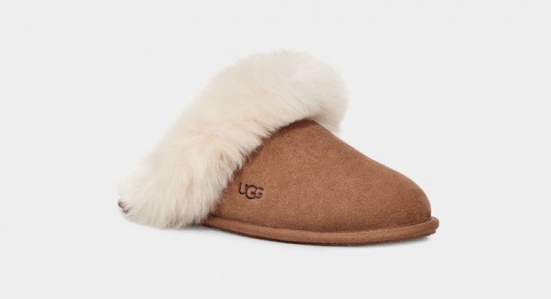 Ugg Scuff Sis Tofflor Dam Bruna | TI7046523