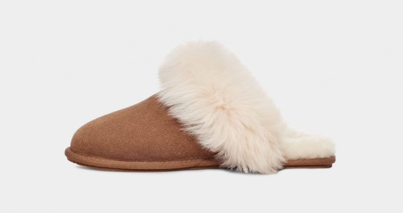 Ugg Scuff Sis Tofflor Dam Bruna | TI7046523