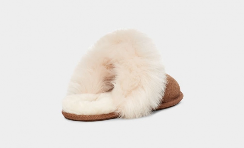 Ugg Scuff Sis Tofflor Dam Bruna | TI7046523