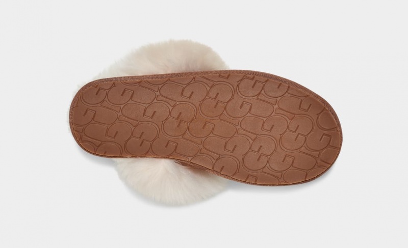 Ugg Scuff Sis Tofflor Dam Bruna | TI7046523