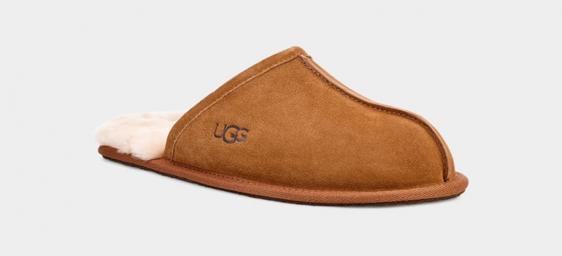 Ugg Scuff Tofflor Herr Bruna | NW2691875