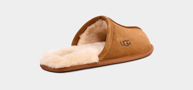 Ugg Scuff Tofflor Herr Bruna | NW2691875