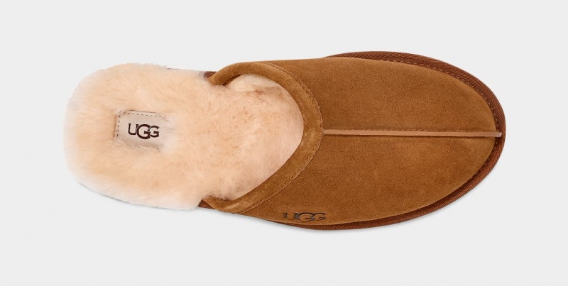 Ugg Scuff Tofflor Herr Bruna | NW2691875