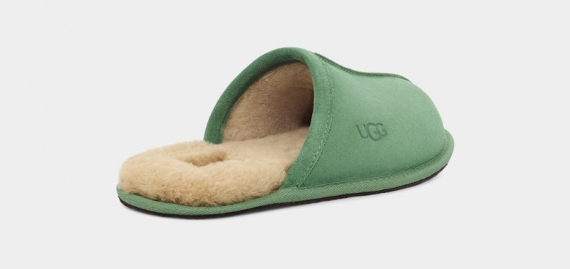 Ugg Scuff Tofflor Herr Gröna | WT1654092