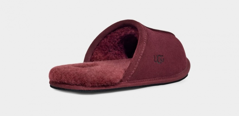 Ugg Scuff Tofflor Herr Lila | AQ6148725