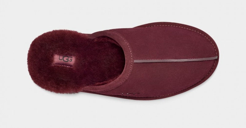 Ugg Scuff Tofflor Herr Lila | AQ6148725